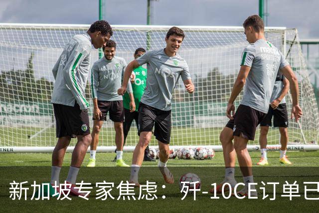 新加坡专家焦虑：歼-10CE订单已落实，却称尚未形成市场